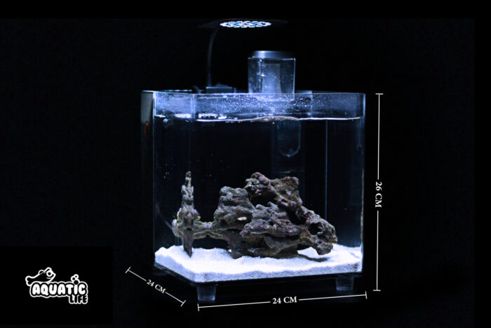 Nano Marine Aquarium