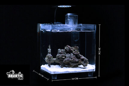 Nano Marine Aquarium