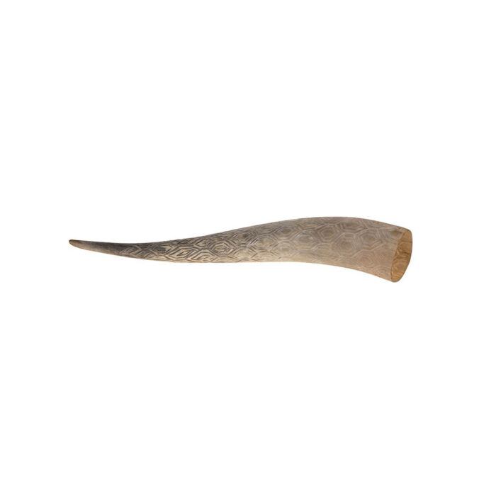 COW HORN