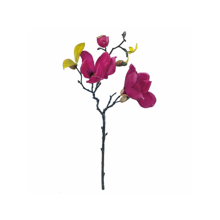 Magnolia pick