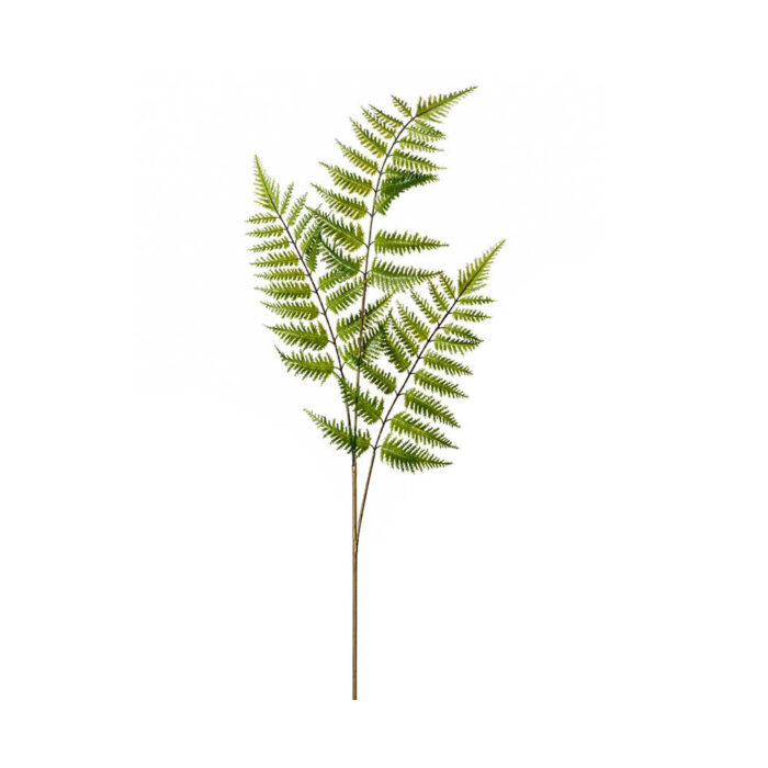 Fern tree spray