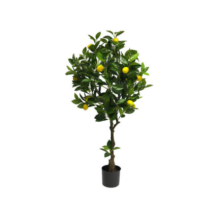 LEMON TREE