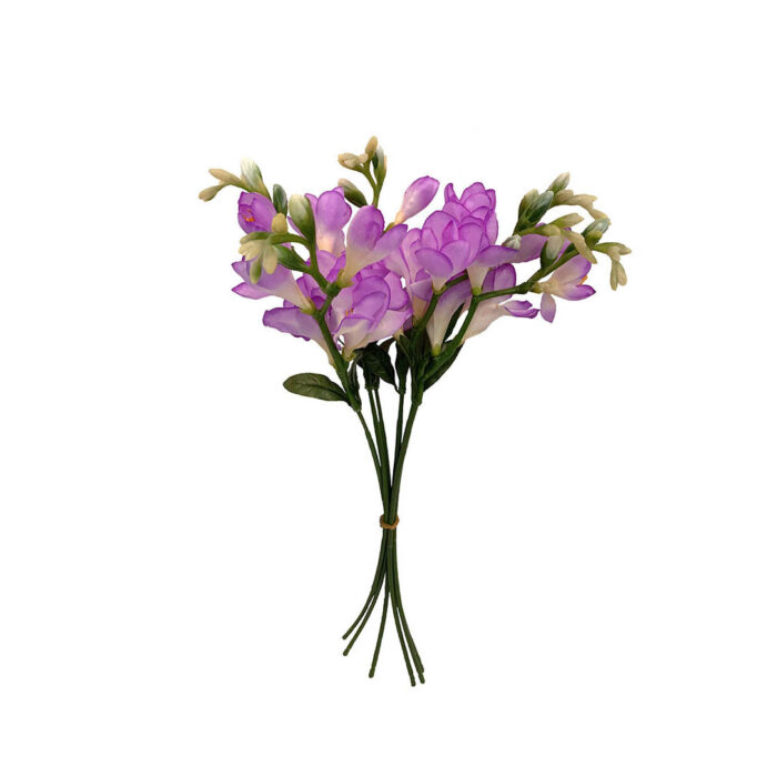 Freesia flower -purple