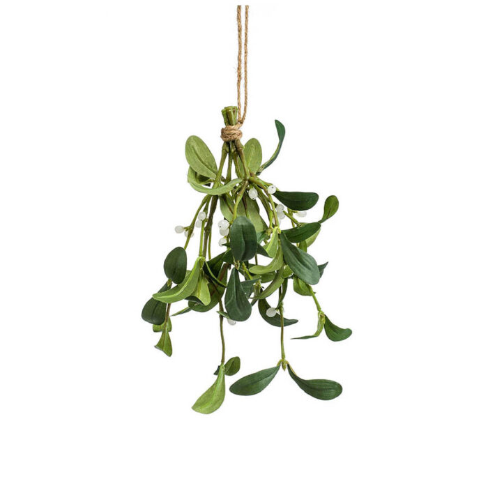 Mistletoe hanging