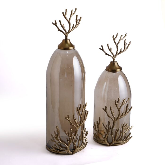 glass vases ( set of 2 )