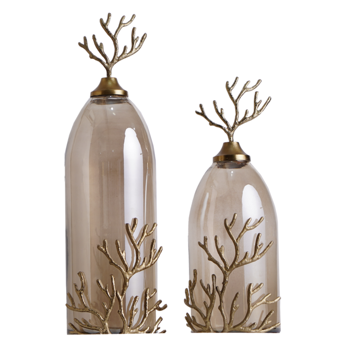 glass vases ( set of 2 )