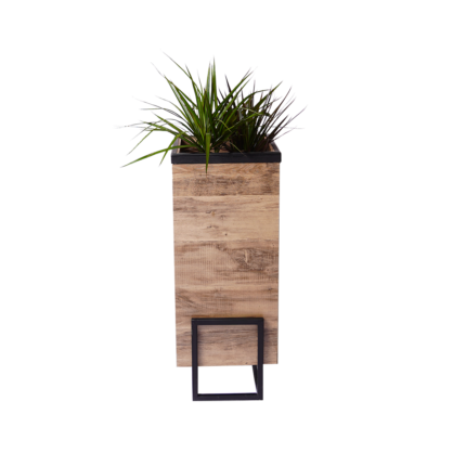 Modern Planter Boxes