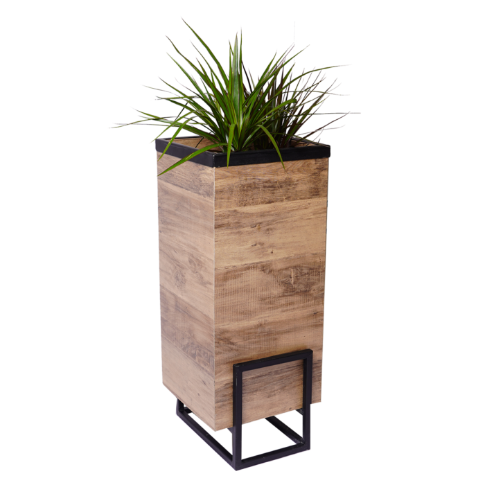 Modern Planter Boxes