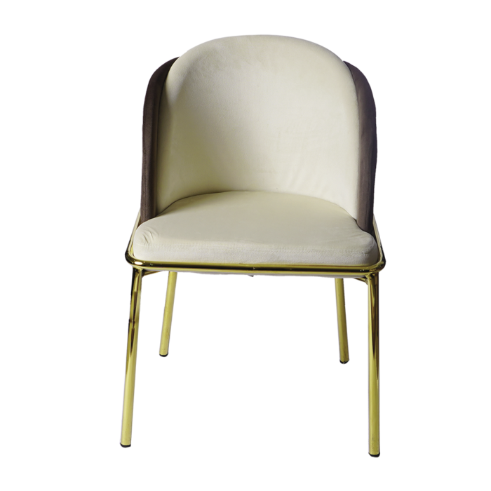 velvet chair - Lobsen ( 2 colors )