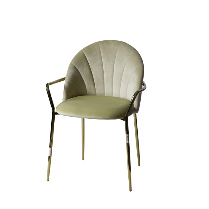 velvet chair with golden arm ( 3 color)