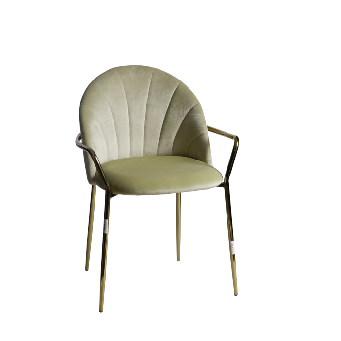 velvet chair with golden arm ( 3 color)