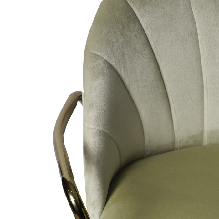 velvet chair with golden arm ( 3 color)