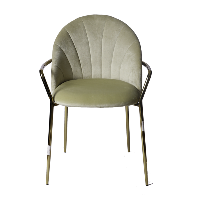 velvet chair with golden arm ( 3 color)