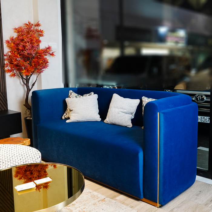 luxury sofa ( customized )