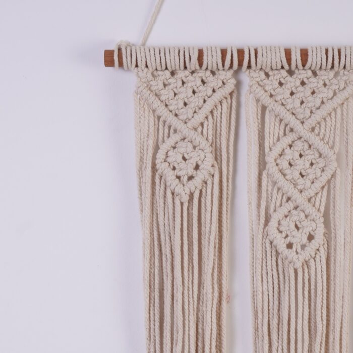 Macrame Plant Hanger