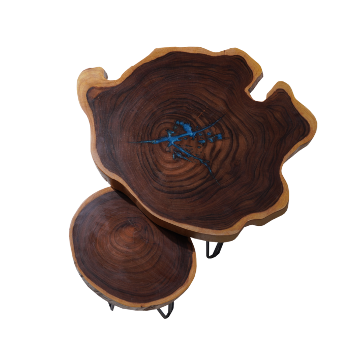 Willow Wood Side Table (Set of 2)