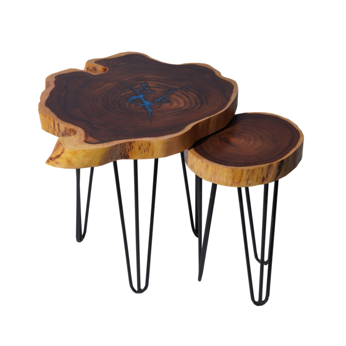 Willow Wood Side Table (Set of 2)