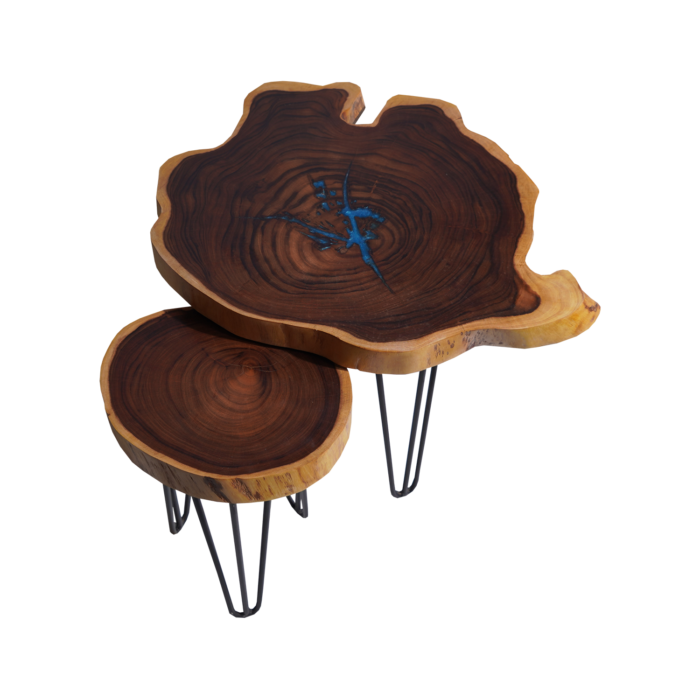Willow Wood Side Table (Set of 2)
