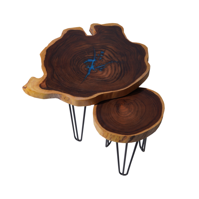Willow Wood Side Table (Set of 2)